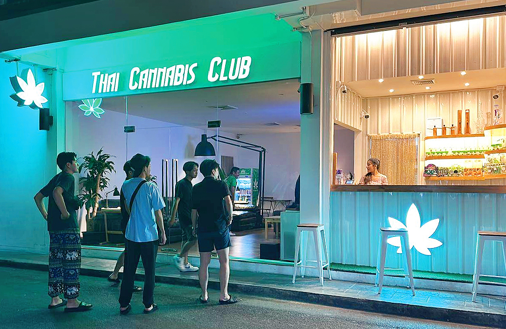 Thai Cannabis Club - Maison Hotel