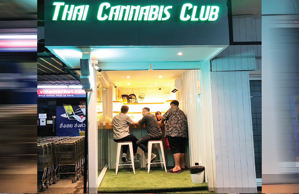 Thai Cannabis Club - Villa Market