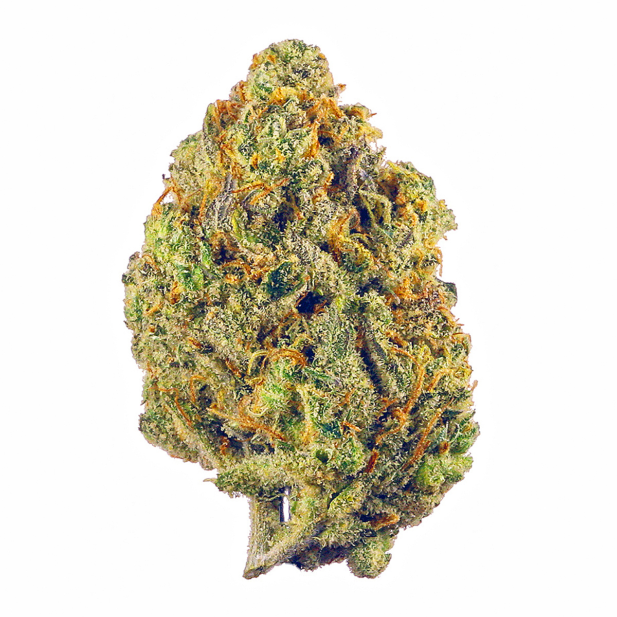  - Lilac Diesel