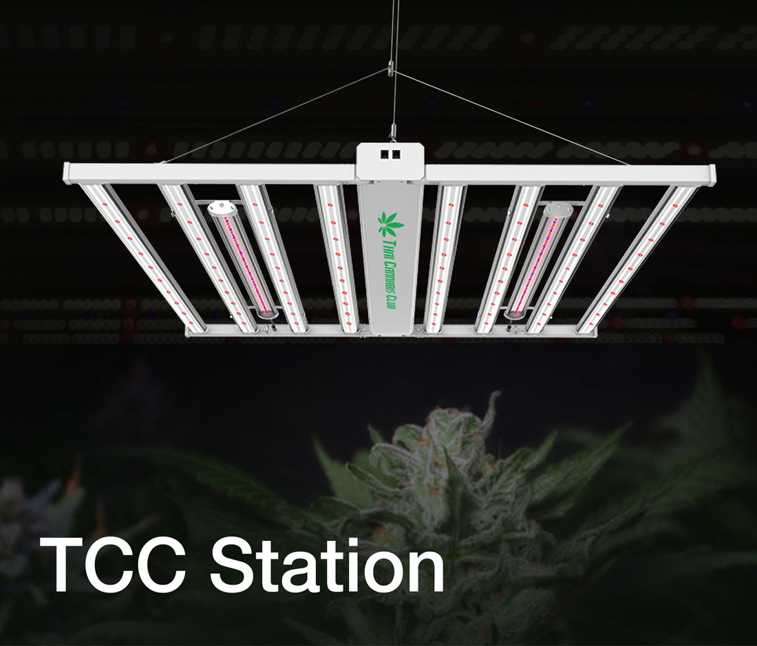 TCC LED Grow Light